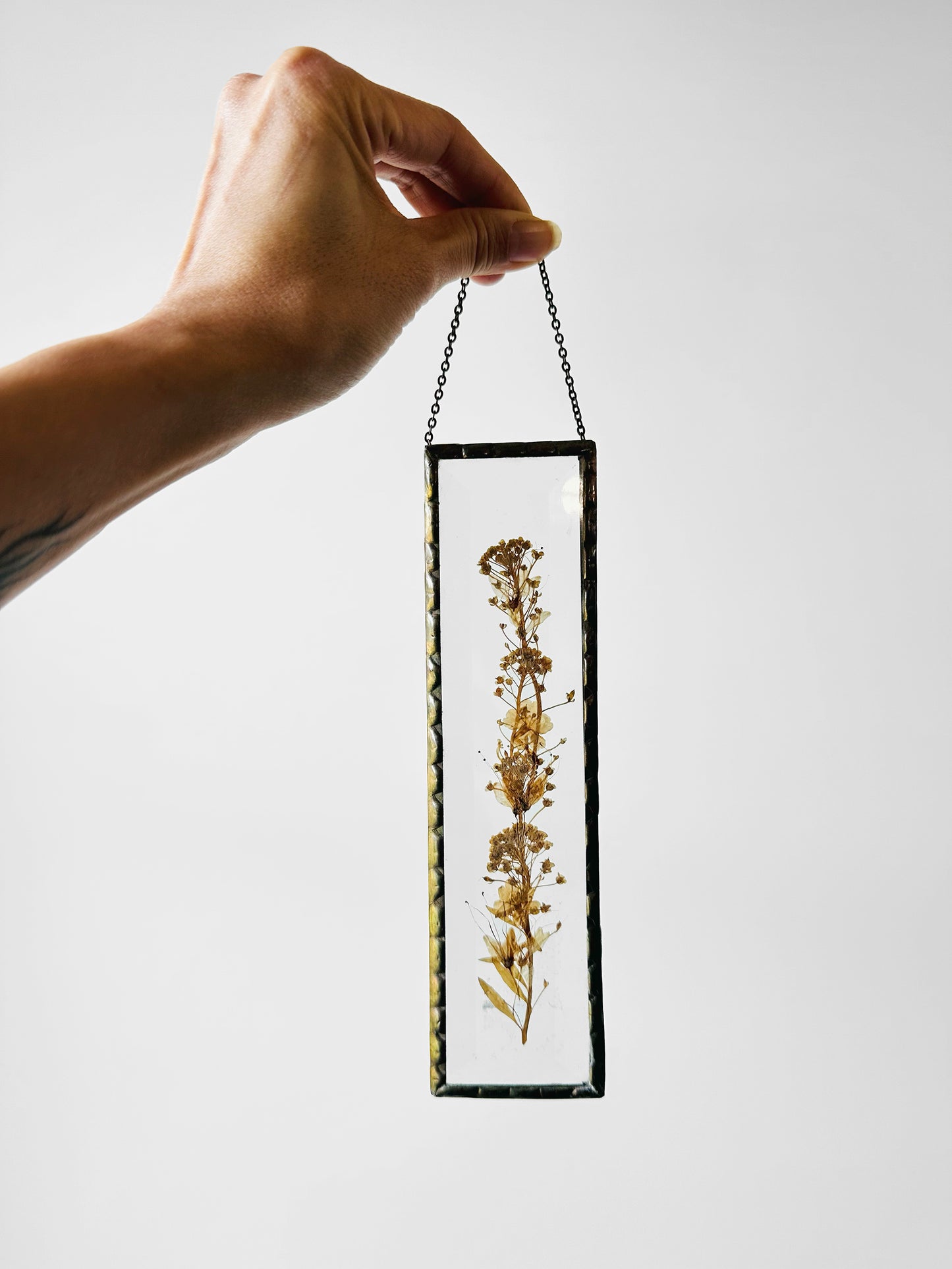 1940s - 1960s Pressed Flowers and Beveled Glass Wall Hanging