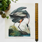 1950s - 1960s Mid-Century Audubon 17 by 14 Original Great Blue Heron Art Print Wall Hanging