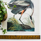 1950s - 1960s Mid-Century Audubon 17 by 14 Original Great Blue Heron Art Print Wall Hanging