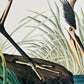 1950s - 1960s Mid-Century Audubon 17 by 14 Original Great Blue Heron Art Print Wall Hanging