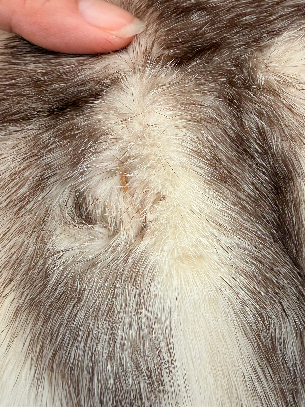 Vintage 1960s Off-White and Taupe Mink Fur Jacket - Sz. S/M (Copy)