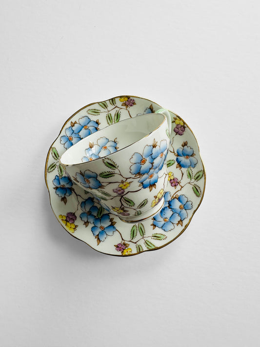 Vintage 1960s Single Serving Springdale Foley Made in England Tea Cup and Saucer Set