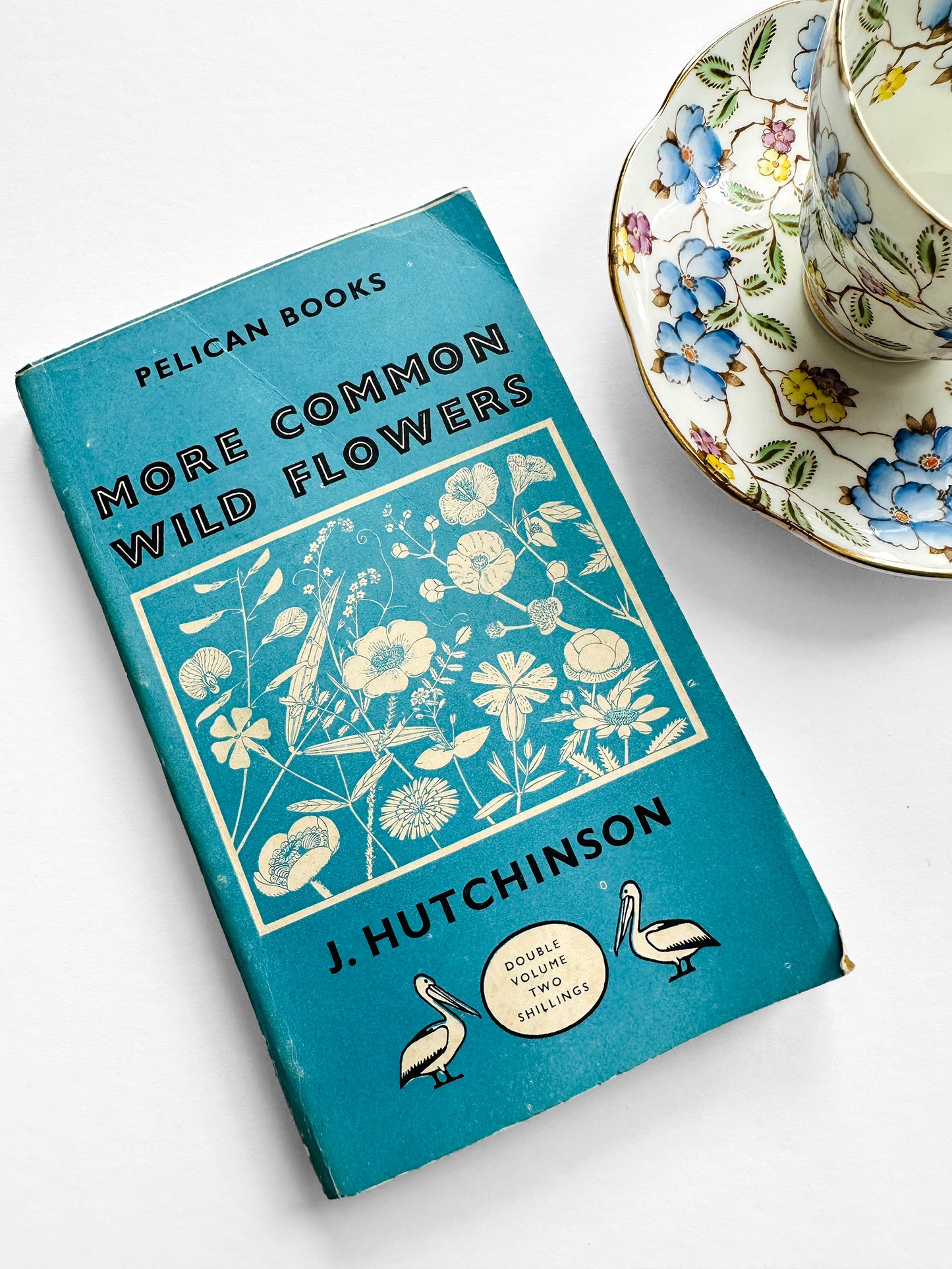 Vintage 1950s Mid-Century More Common Wild Flowers Illustrated Reference Book