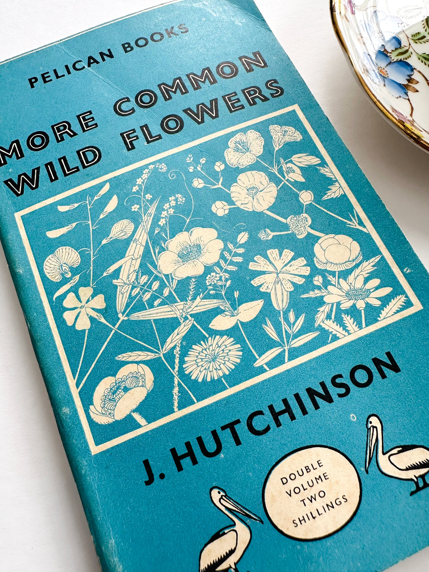 Vintage 1950s Mid-Century More Common Wild Flowers Illustrated Reference Book