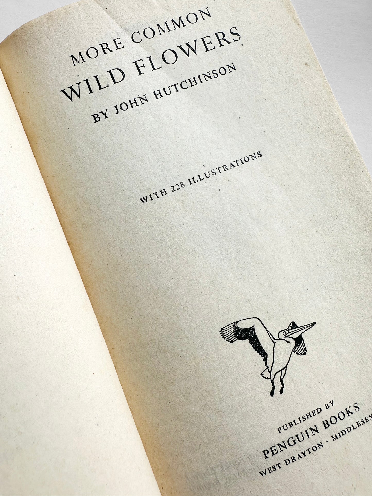 Vintage 1950s Mid-Century More Common Wild Flowers Illustrated Reference Book