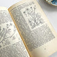 Vintage 1950s Mid-Century More Common Wild Flowers Illustrated Reference Book