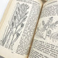 Vintage 1950s Mid-Century More Common Wild Flowers Illustrated Reference Book