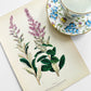 Antique 1909 Farm Weeds of Canada Steeple Bush 6.75 by 9.75 Book Plate