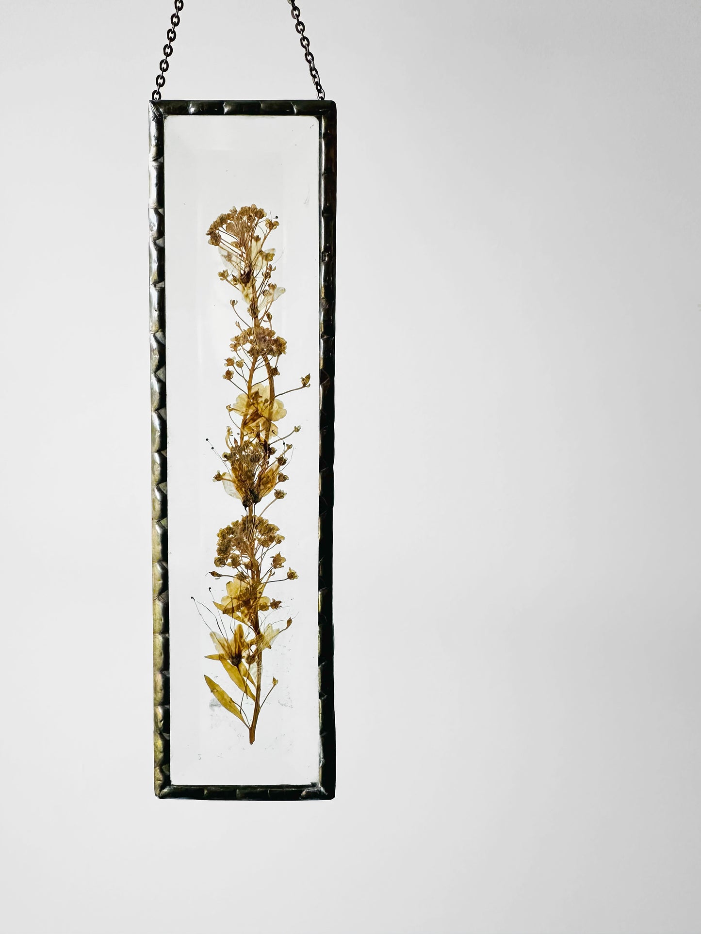 1940s - 1960s Pressed Flowers and Beveled Glass Wall Hanging