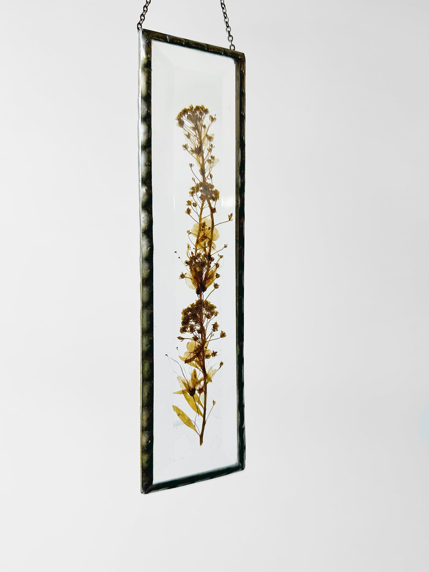 1940s - 1960s Pressed Flowers and Beveled Glass Wall Hanging