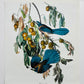 Vintage Mid-Century Audubon 17 by 14 Original Florida Jay Art Print Wall Hanging