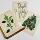 Antique 1909 Farm Weeds of Canada Floral 7 by 10 Bookplate Wall Hangings Set of Three