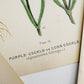 Antique 1909 Farm Weeds of Canada Floral 7 by 10 Bookplate Wall Hangings Set of Three