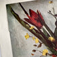 1950s Cezanne Harry N. Abrams New York Fine Art Print French Floral Art Plate