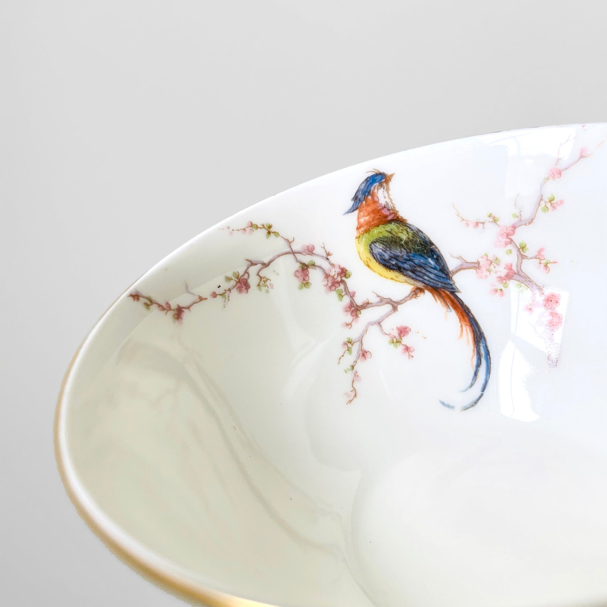 Antique 1920s Limoges Theodore Haviland EDEN Fine China FRENCH