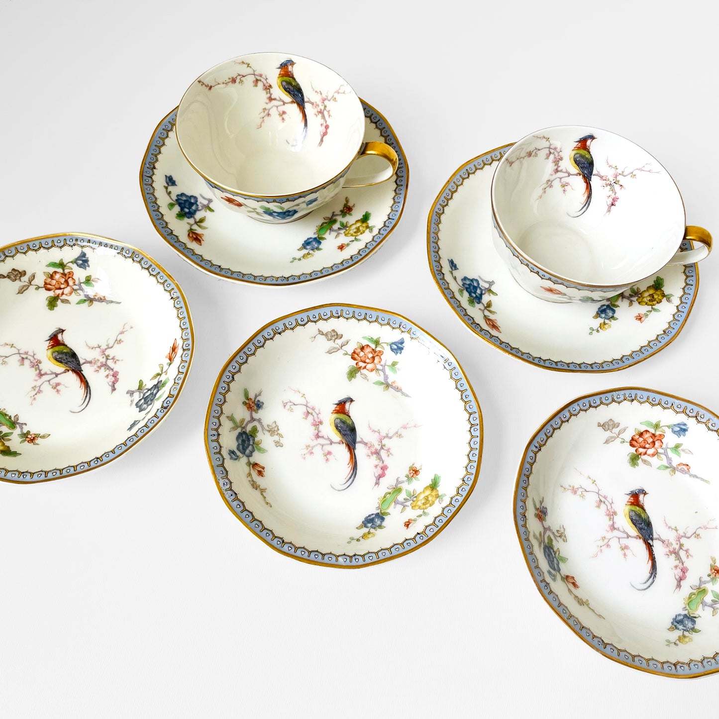 Antique 1920s Limoges Theodore Haviland EDEN Fine China FRENCH Bird of Paradise Drinkware Set