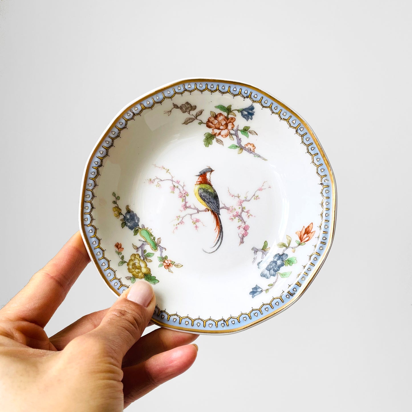 Antique 1920s Limoges Theodore Haviland EDEN Fine China FRENCH Bird of Paradise Drinkware Set