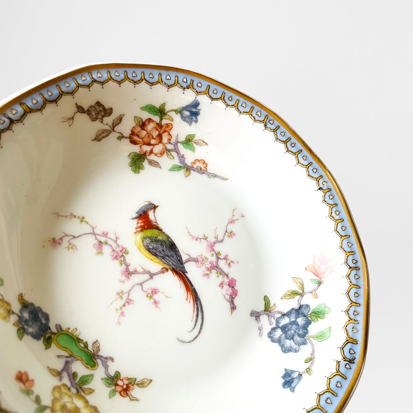 Antique 1920s Limoges Theodore Haviland EDEN Fine China FRENCH Bird of Paradise Drinkware Set