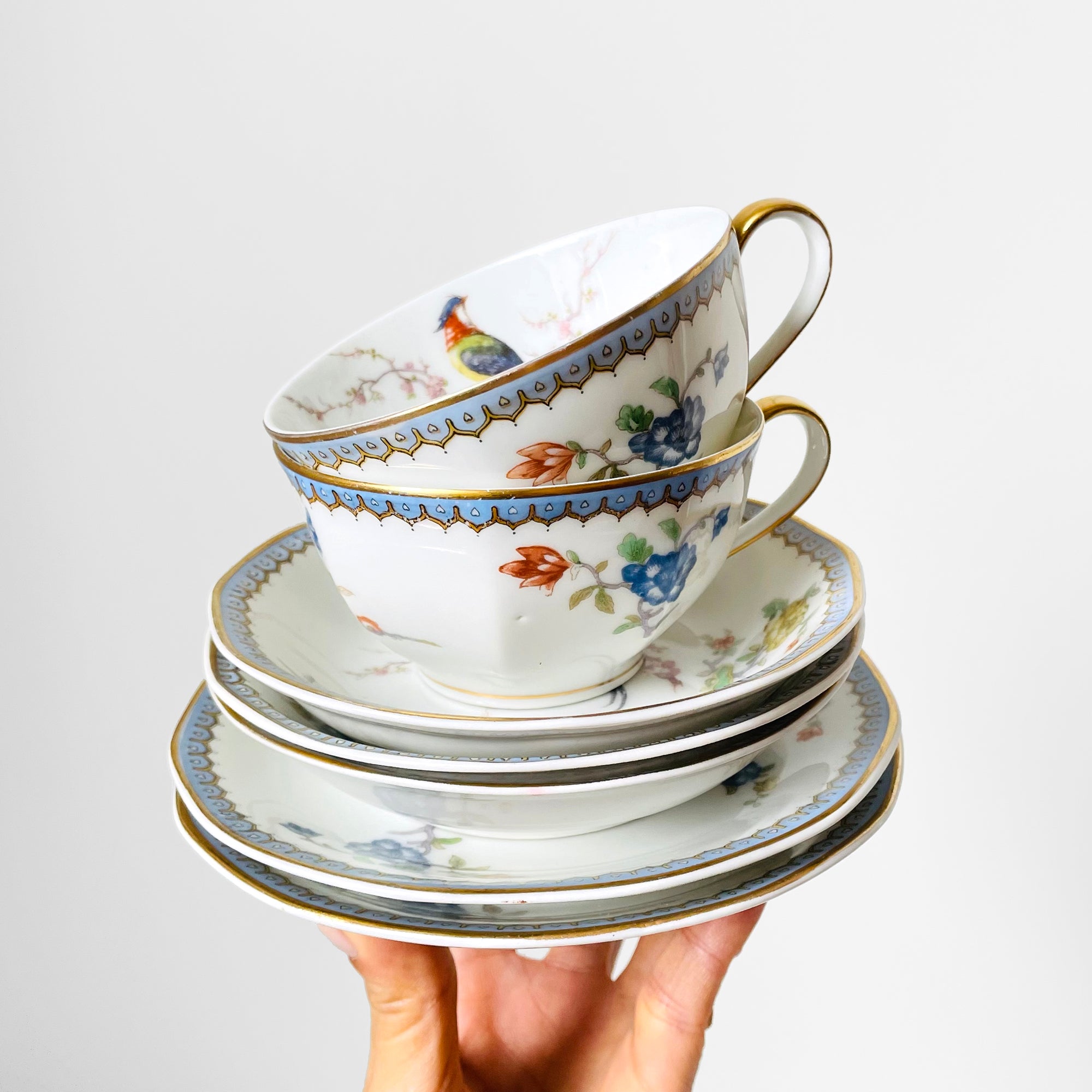 Antique 1920s Limoges Theodore Haviland EDEN Fine China FRENCH