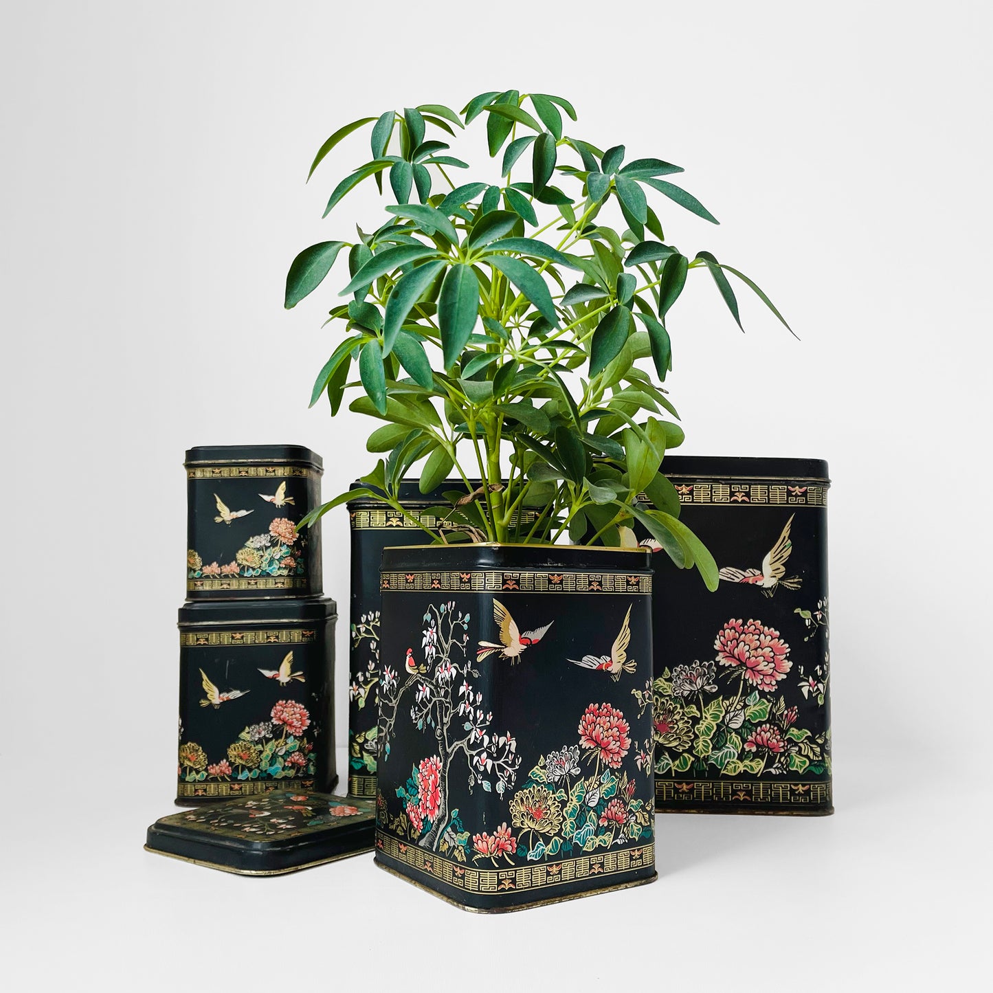 RESERVED!!! 5-piece Black Gold Decorative Floral Bird Asian Lidded Nesting Tins Set