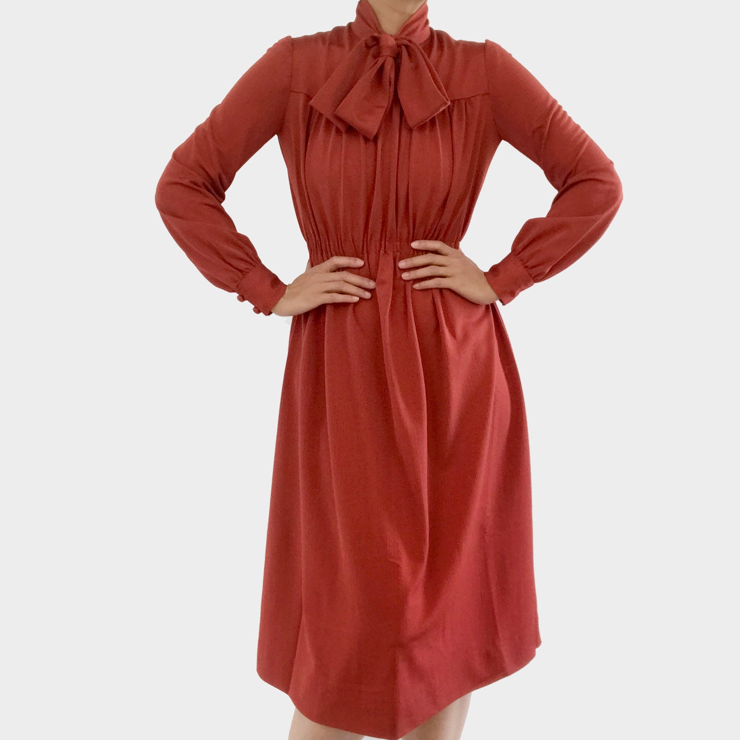 1970s Brick Red Tied-Neck Pleated Knee-Length Fit and Flare Dress