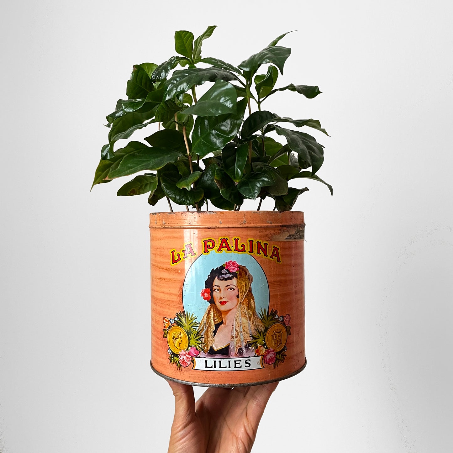 1960s La Palina Cigar Tin