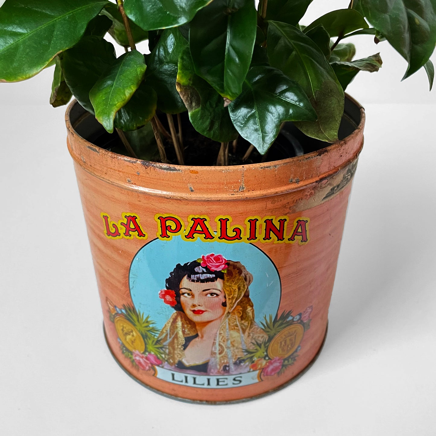 1960s La Palina Cigar Tin