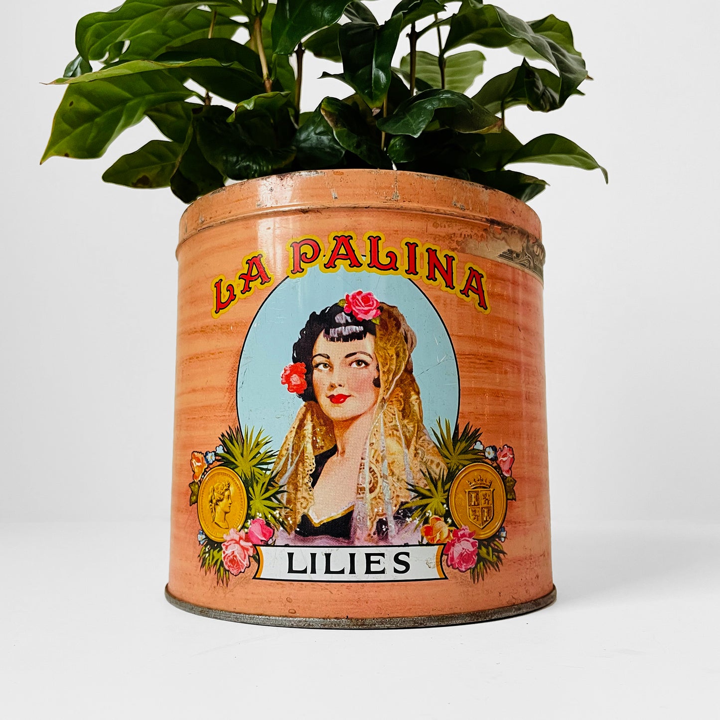 1960s La Palina Cigar Tin