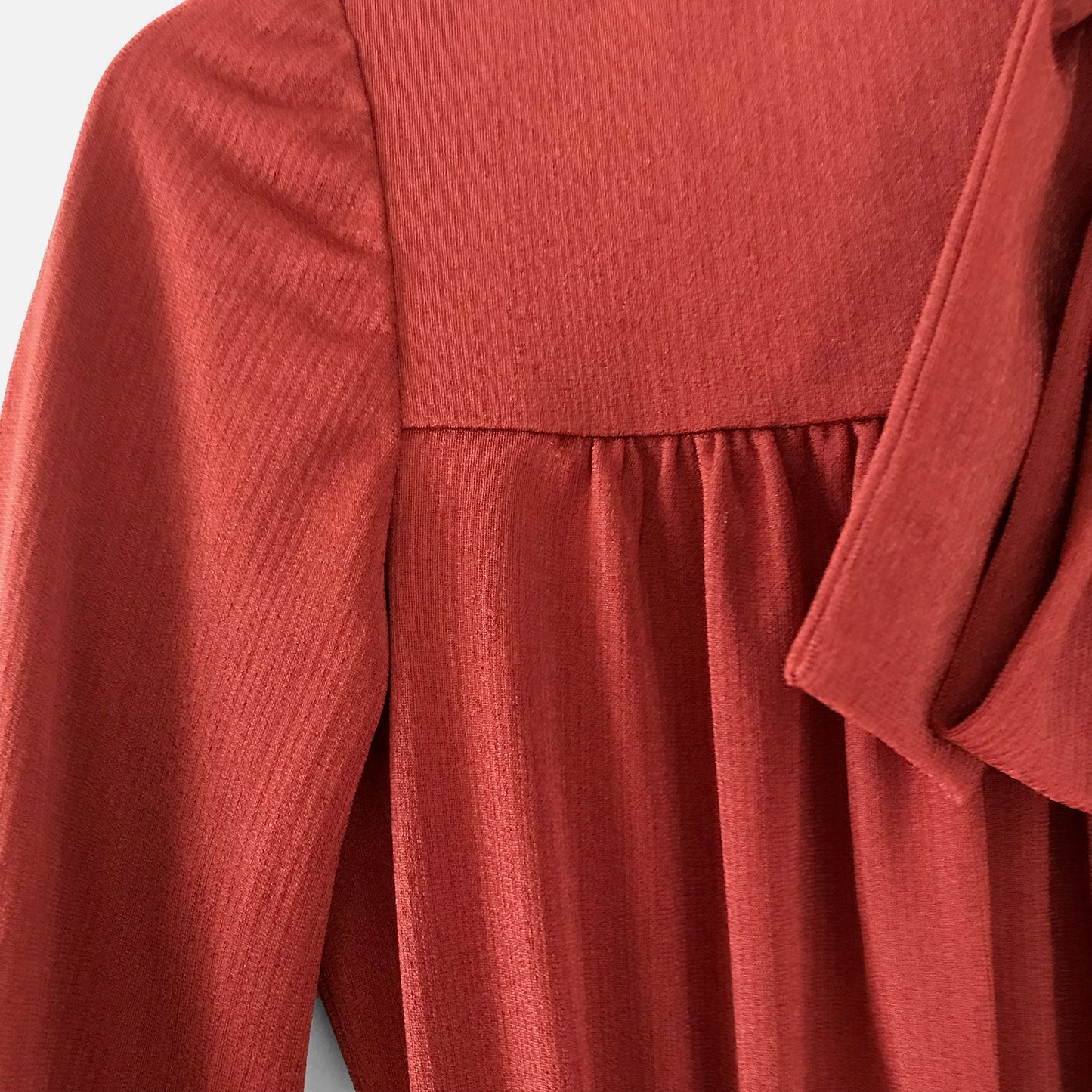 1970s Brick Red Tied-Neck Pleated Knee-Length Fit and Flare Dress